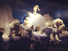 iphone_upload_pic-成都泰迪熊博物馆