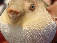 -永安鱼庄·镇江菜(东吴路店)