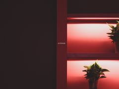 -Punchline Coffee&Roaster(同济大学店)