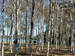 -长春市南湖公园