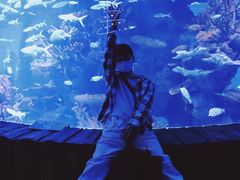 -多彩贵州城极地海洋世界