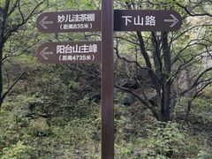 -阳台山自然风景区