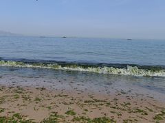 -海合安青岛极地海洋公园