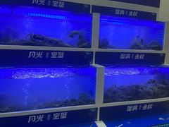 -蟹状元大闸蟹·年货·粽子(成都成华店)