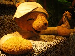 -济州岛泰迪熊博物馆