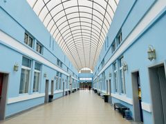 -中加枫华国际学校