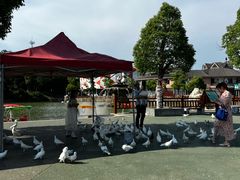 -安徽大青山野生动物世界
