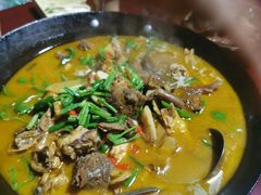 土鸡炖寒菌-茶乡之家