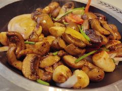 -豫丰汇河南名菜楼(武记餐饮)