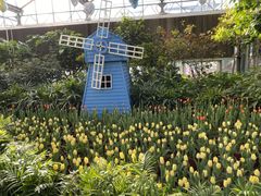 -南宫五洲植物乐园