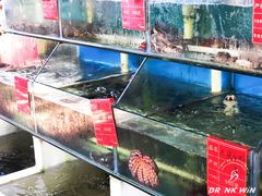 水产区-阿弟特色海鲜餐厅·大排档(平潭店)