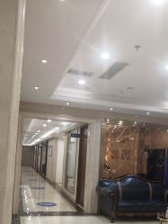 -碧莲盛·不剃发植发