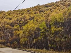 -苏木山森林公园