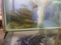 -宋记冕宁土菜馆(海门渔村二店)