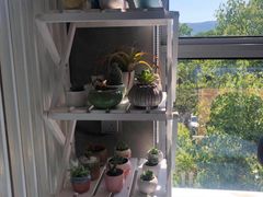 -SAH健身私教工作室(紫东店)