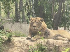 -石家庄市动物园