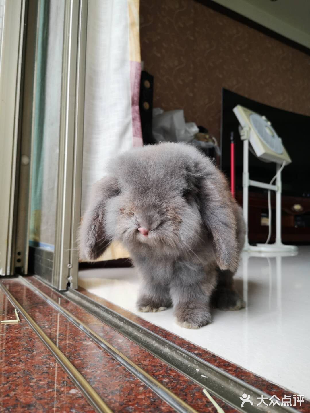 我最喜欢😘得小兔兔