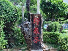 -野象谷景区