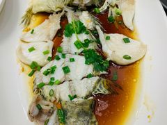 蒸鱼骨-轩记海鲜餐厅·四十五年老字号·经典粤菜(西区彩虹店)