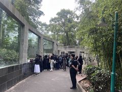 -中国大熊猫保护研究中心雅安碧峰峡基地