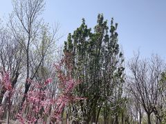 -水西公园
