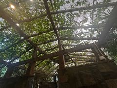 -金稼园·金平湖农家菜