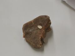 -京东一绝西海子西园烧饼夹肉