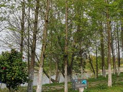 -梁鸿国家湿地公园