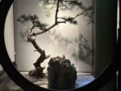 -山塘渡·苏式园林餐厅