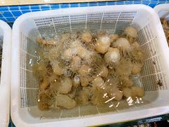 -鹰龙海畔度假酒店(咸祥店)