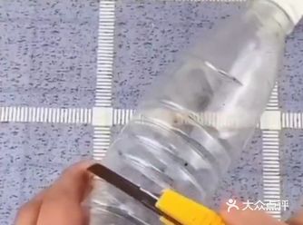 香菜的根部不吃扔掉又觉得太可惜了，这支怎么办呢