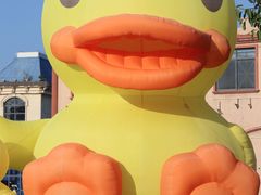 -巨鹏飞梦幻海岸