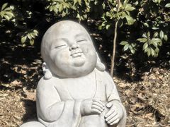 -白佛山景区