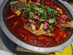 香辣烤鲩鱼-新渝城·川菜·火锅(区庄店)