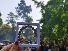 -洛阳白马寺