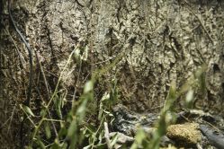 -酷嗒动物文化乐园(cutezoo西溪乐天城店)