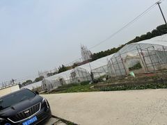 -小鱼草莓采摘园农家乐·小鱼餐厅