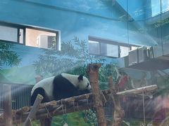 -黔灵山公园