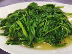 炒豌豆尖-稻香村鱼庄