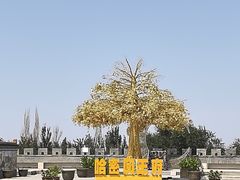 -哈密回王府景区