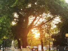 -四川大学(华西校区)