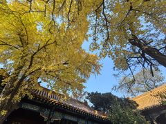 -戏马台景区