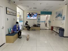-美联众合动物医院·24h京西诊疗中心