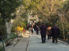 iphone_upload_pic-景山公园