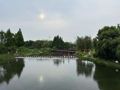 -洋湖国家湿地公园