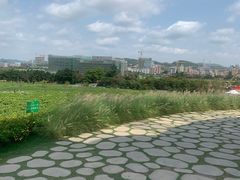-光明小镇欢乐田园