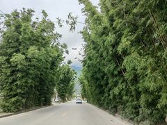 -蝴蝶泉公园