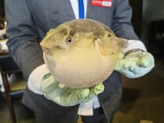 -永安鱼庄·镇江菜(东吴路店)