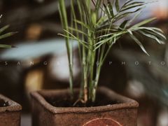 -腾爱熊猫咖啡生活馆(老东门店)