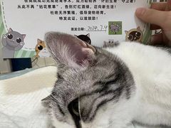 -守诺宠物医院·眼科· 特色牙科·异宠专科(虹口店)